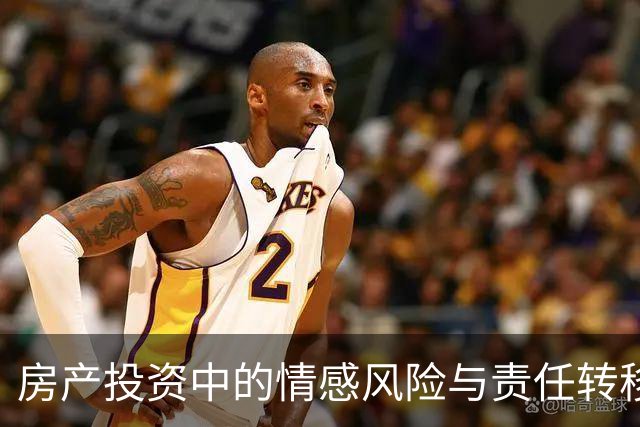 房产投资中的情感风险与责任转移：一案例分析